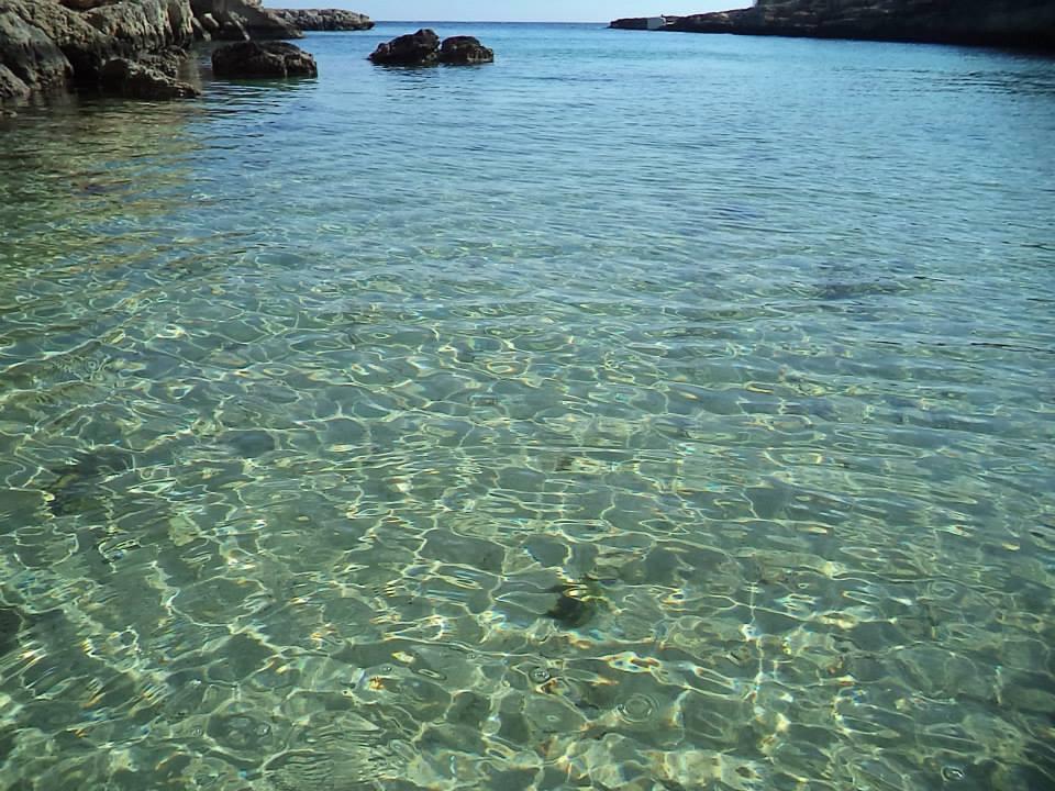 B&B Don Gino Monopoli Exteriör bild